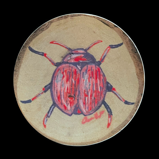 Pink Beetle SticKer